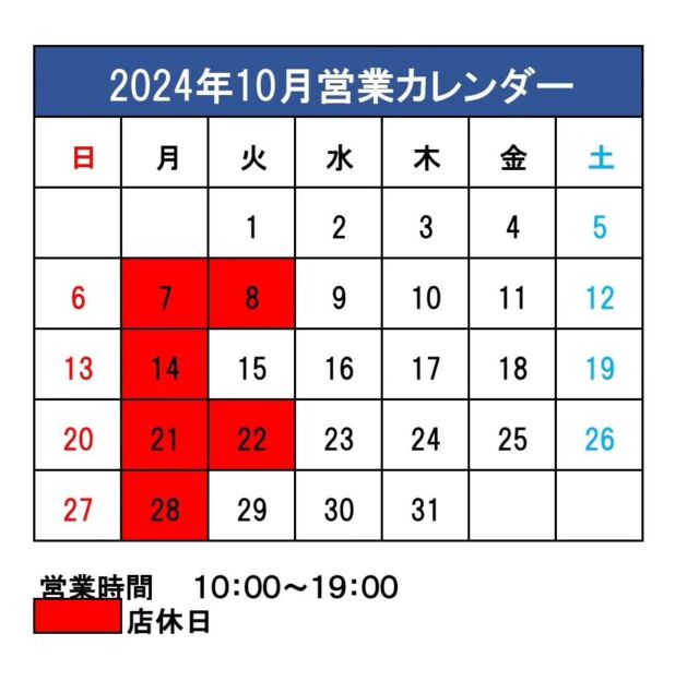 剣道小手 東京正武堂 鎧型 コテ 小学生